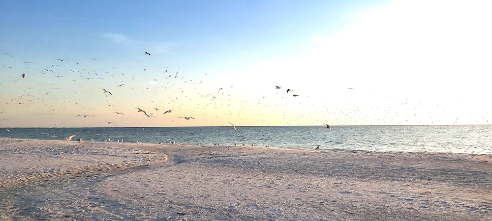 Sunset Vistas 207s