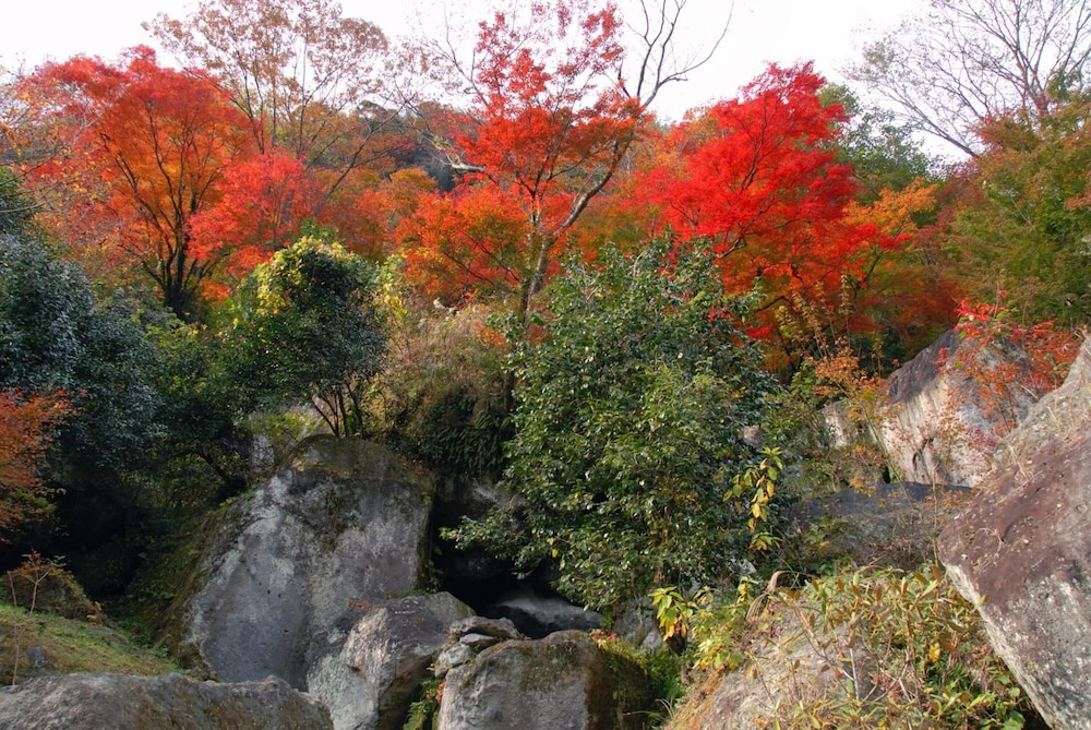 Auberge Funoki
