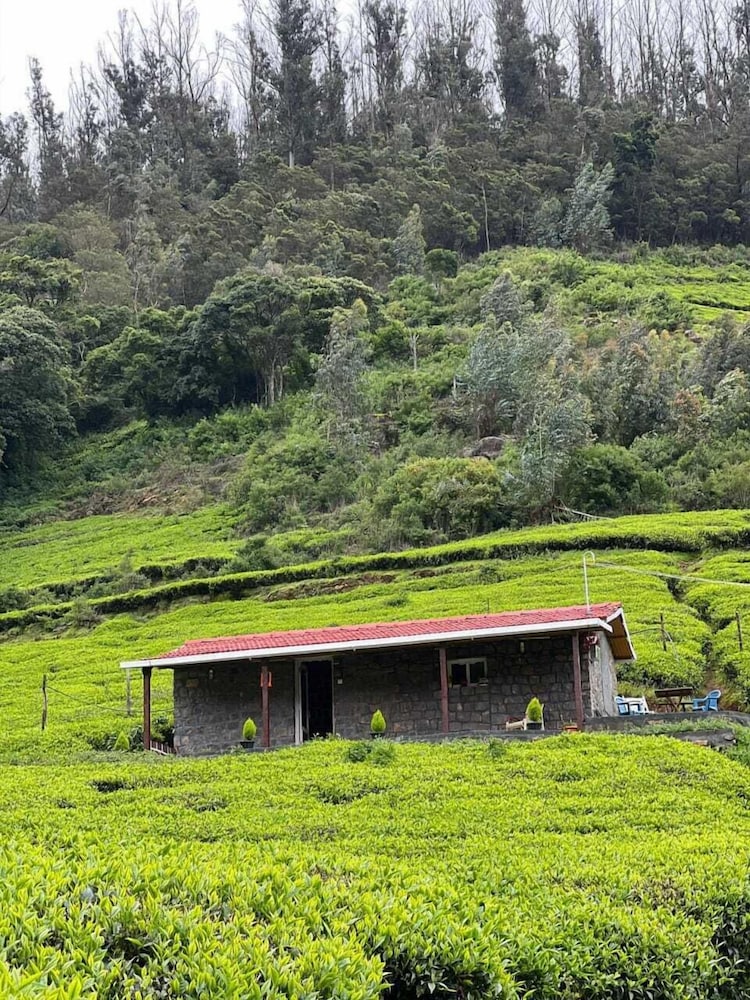 Wild and Free Farm Stay