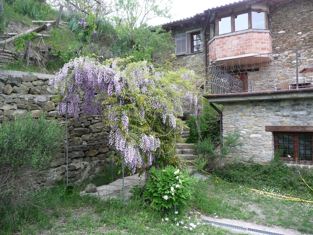 Photo 29