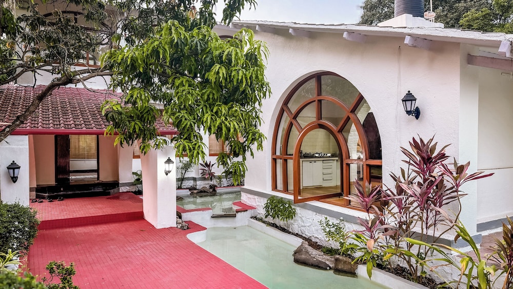 Aeraki palms