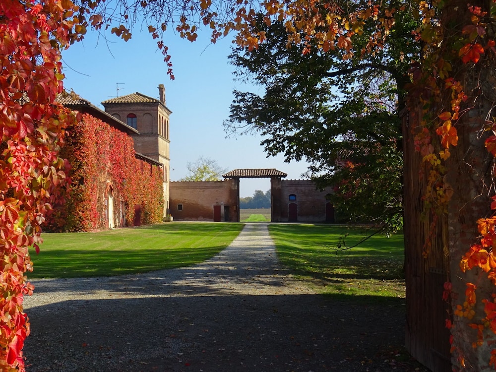 Photo 41