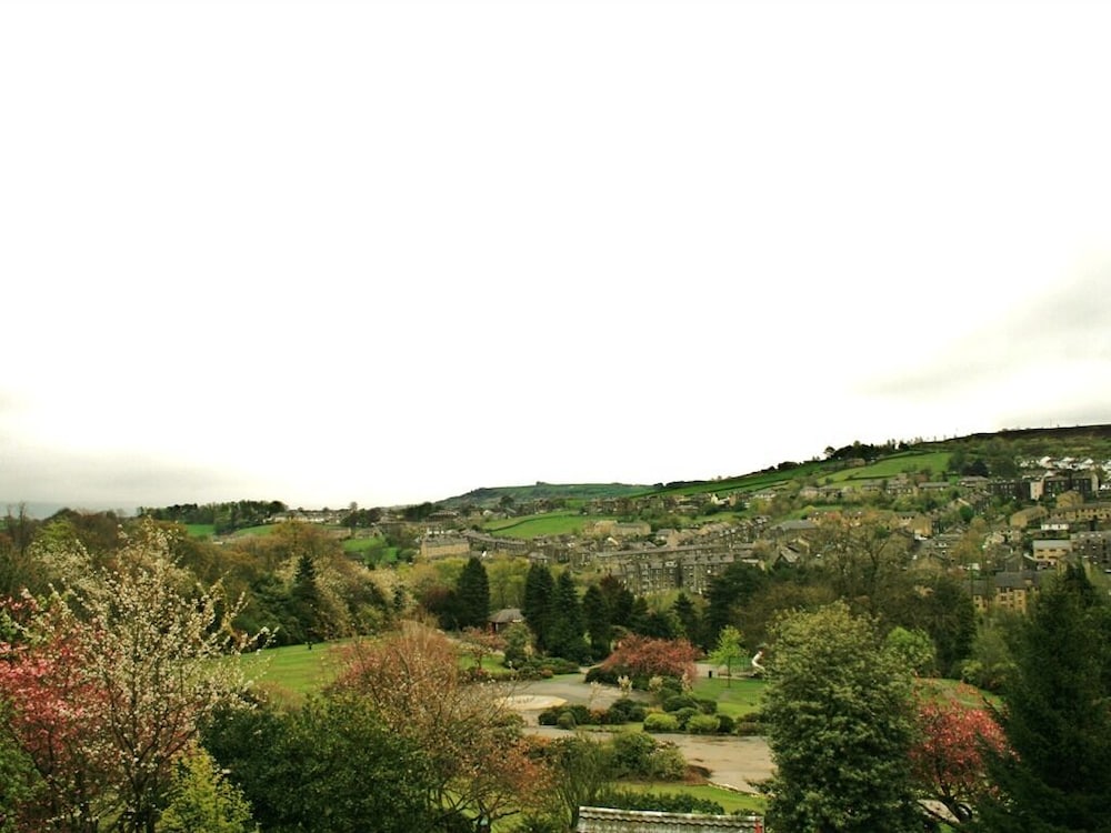 Photo 12