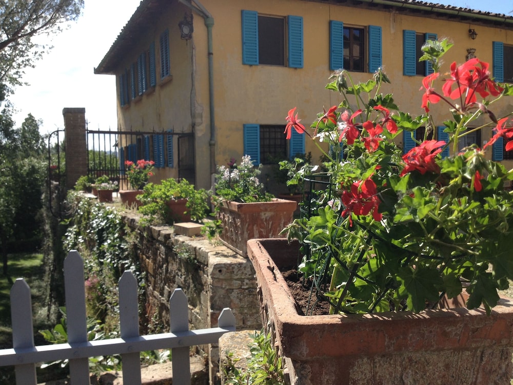 Bassetto Guesthouse & Apartments