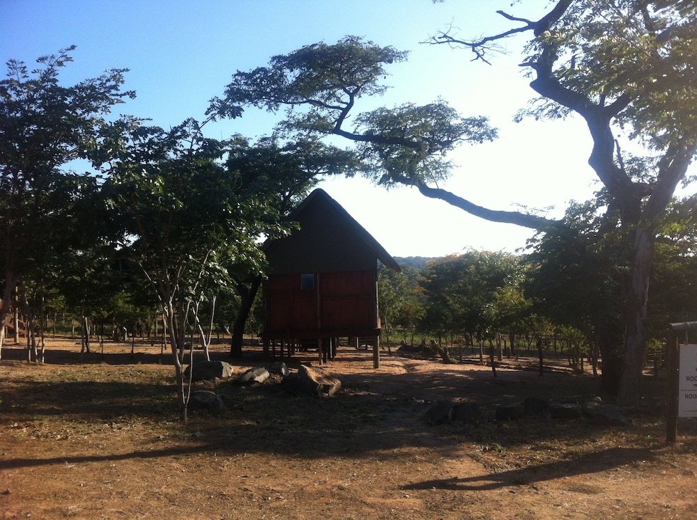 Lion Roars Lodge