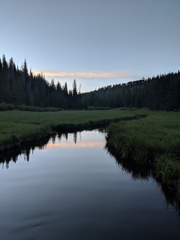 Black Bear Inn