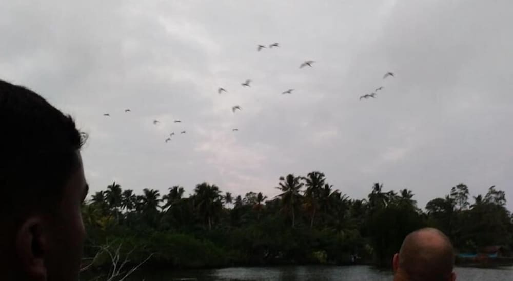 Lagoon Resort Goviyapana