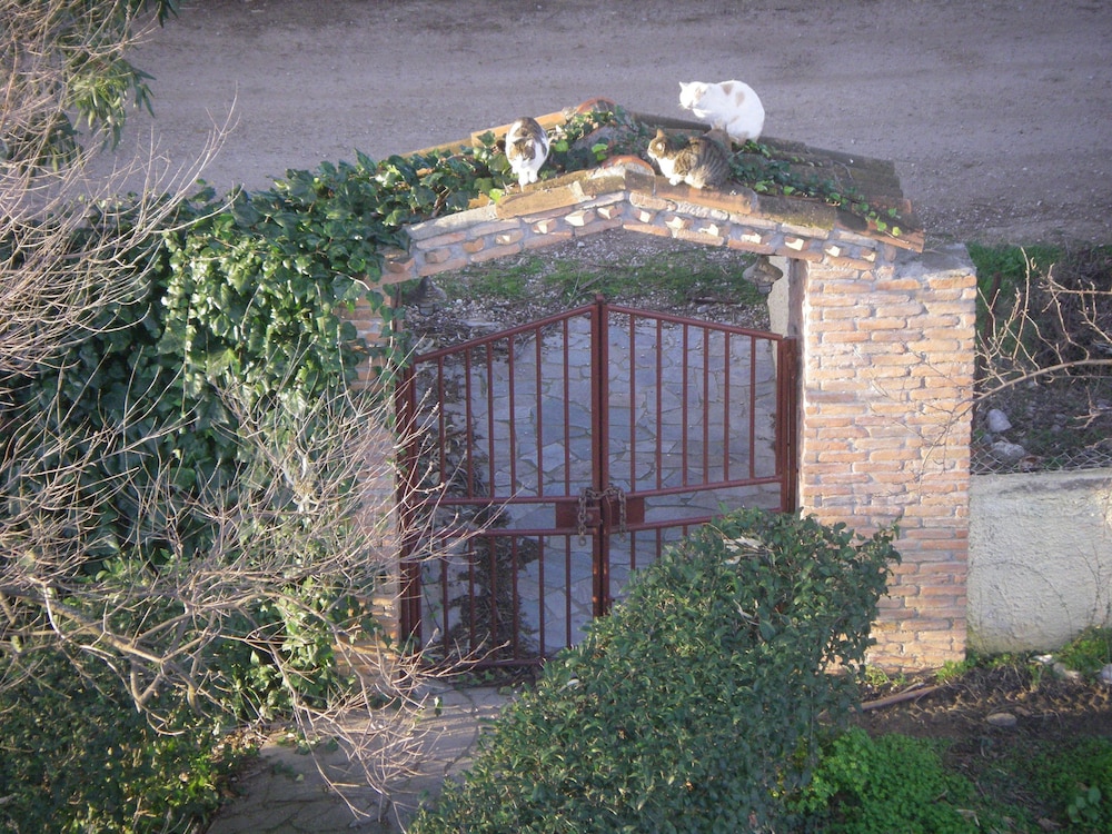 Photo 21