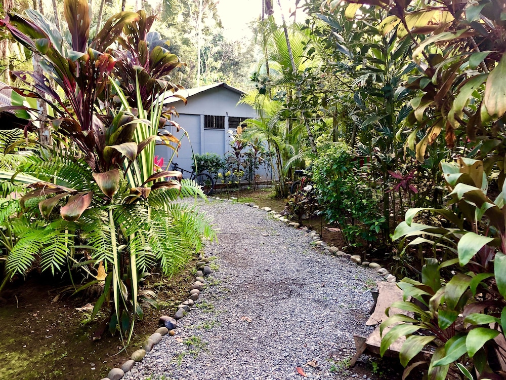 Photo 17