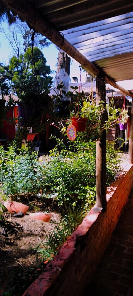 hostel mi lugar