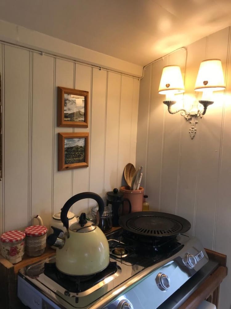 1 Bed Shepherds Hut - Sleeps 2 -wood Fired Hot Tub view 3