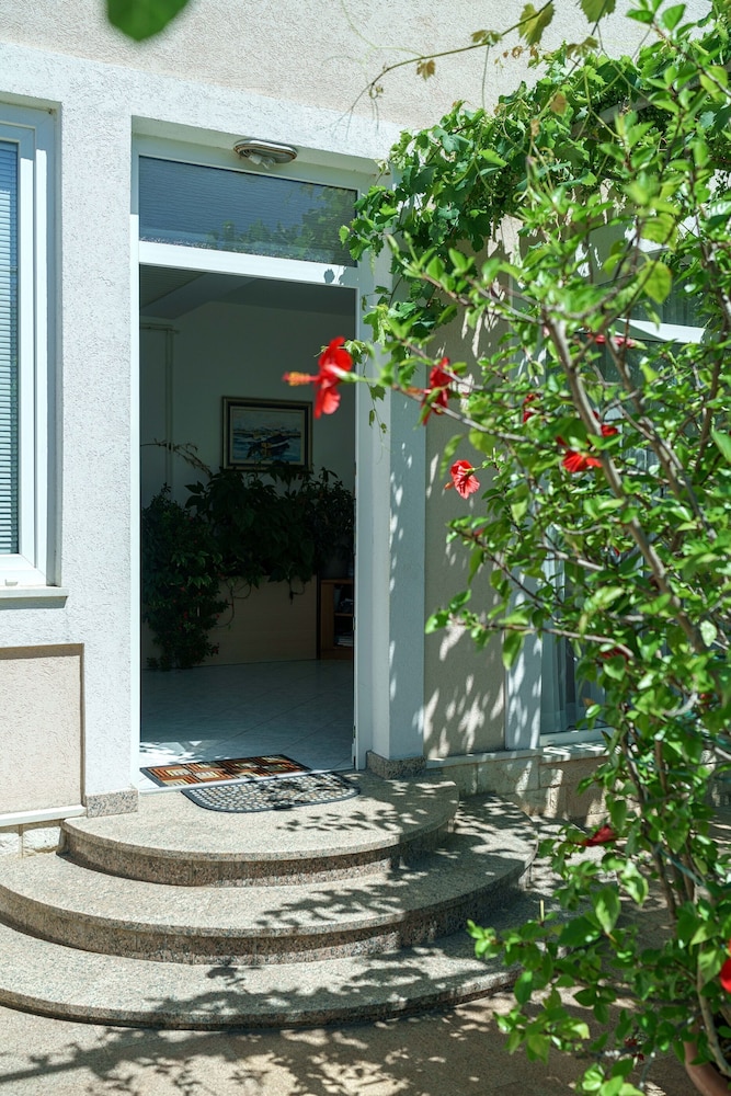 Photo 41