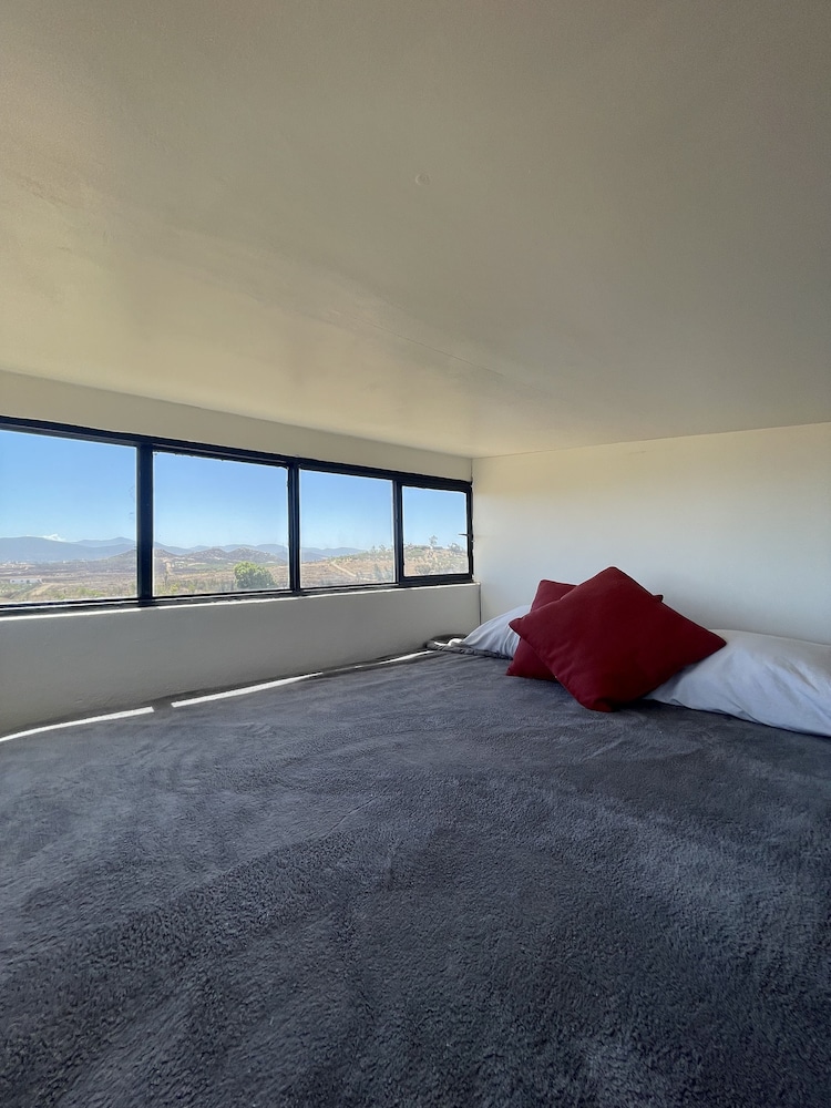 Wine country In Valle de Guadalupe view 4