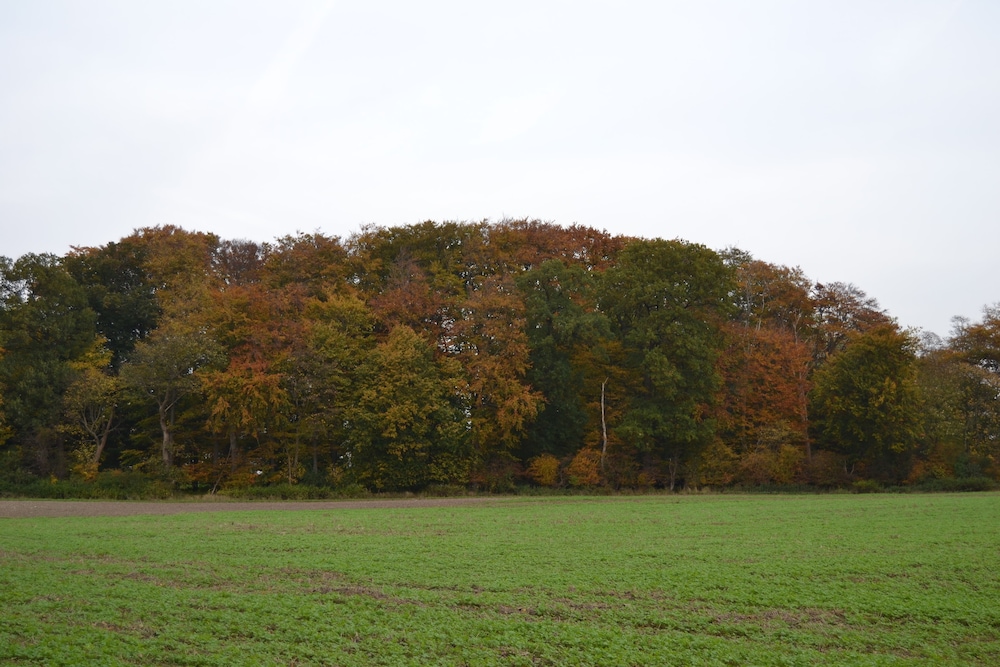 Ny Kirstineberg Gods Bed & Breakfast