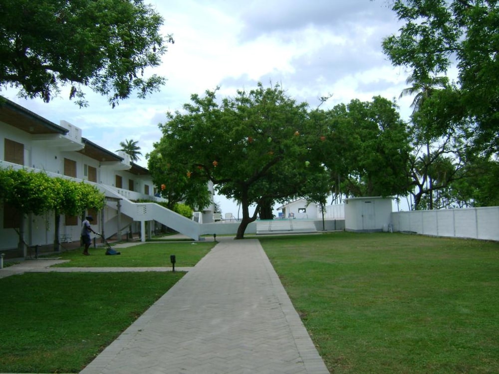 Photo 19