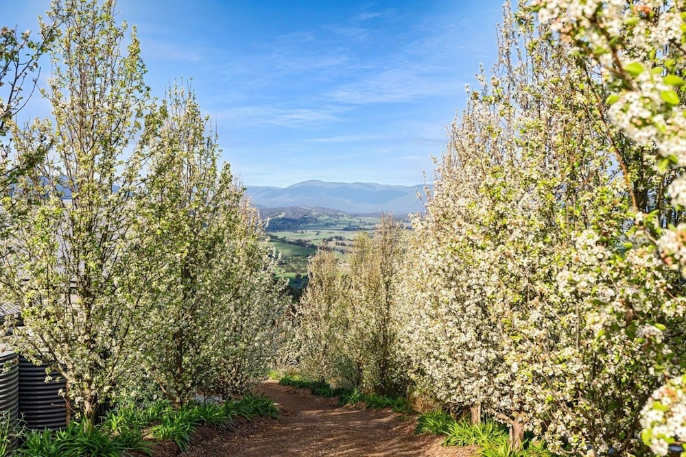Skyline Views Yarra Valley s Elevated Escape