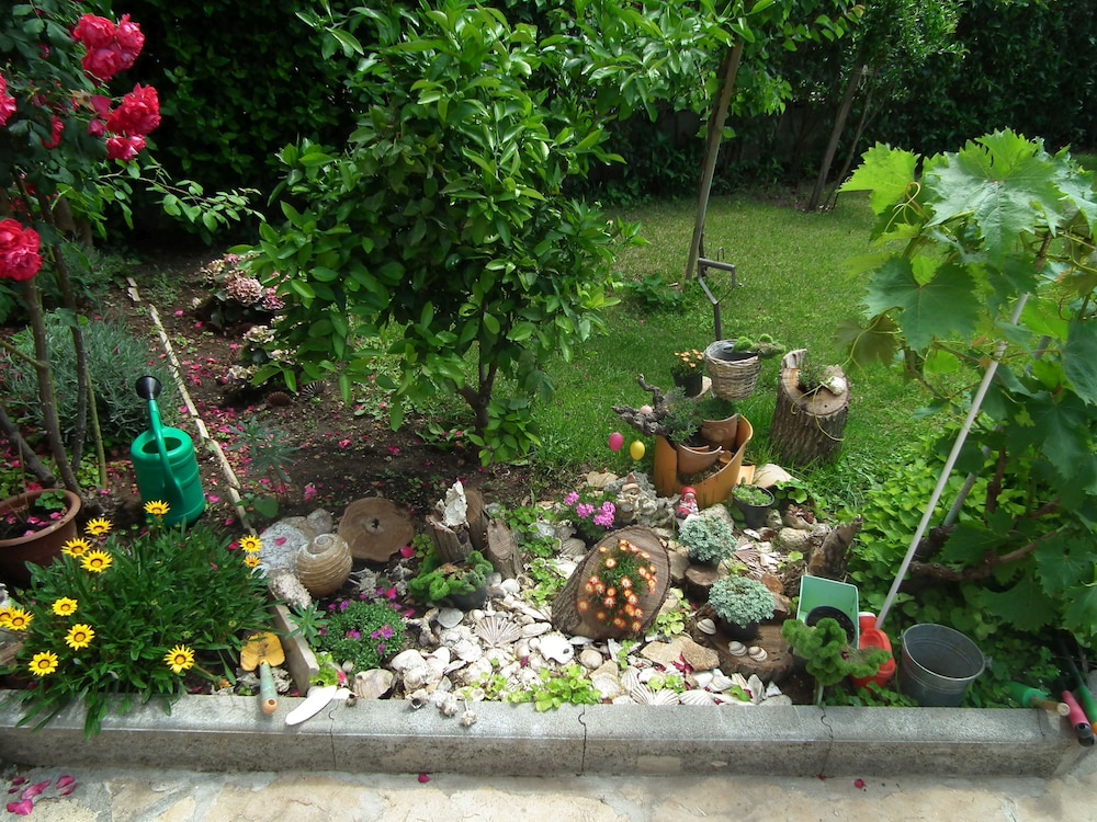 Photo 45
