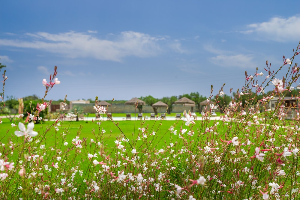 Masseria La Gresca
