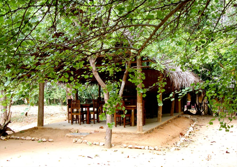Photo 20