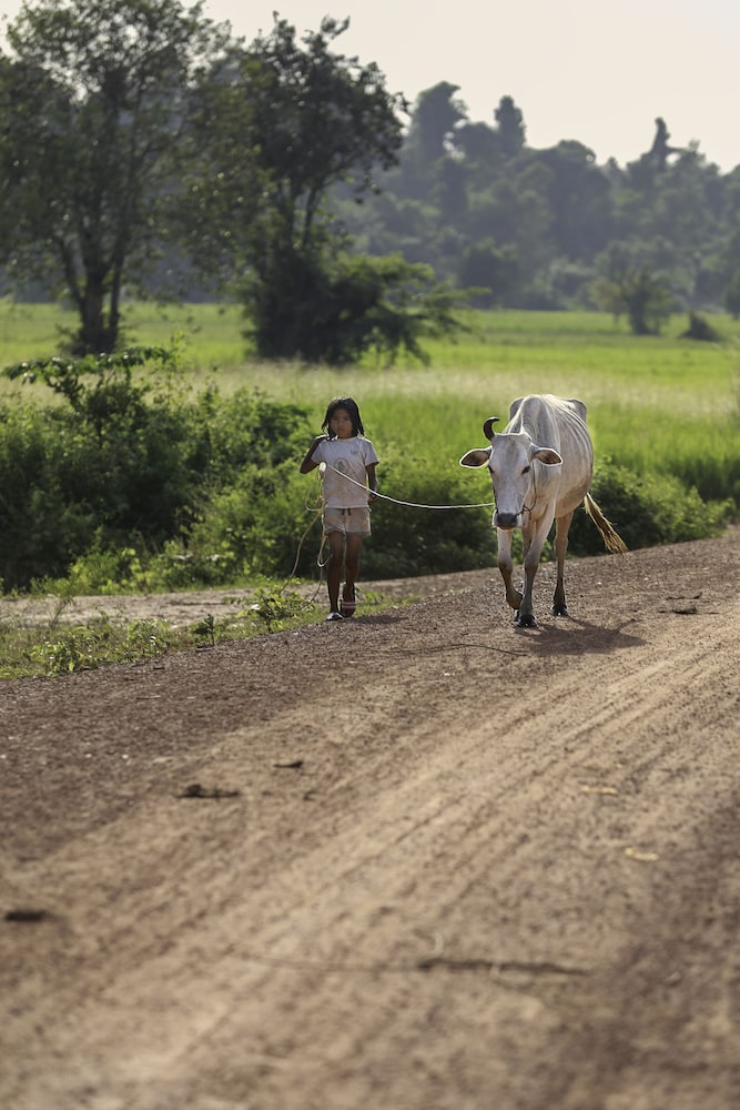 Siem Reap Homesteading