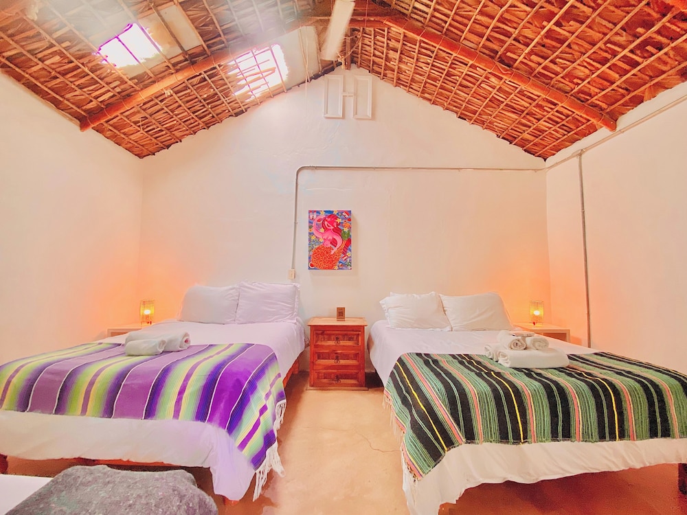 Perro Surfero Hotel Boutique - Todos Santos, BCS