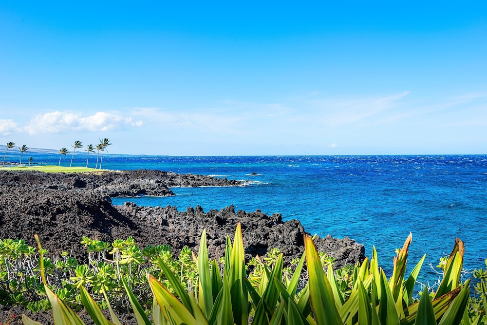 Complete Remodel Stunning Ocean Views Discount of Golf
