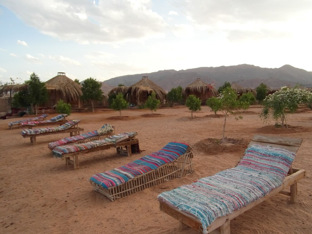 Bedouin Star