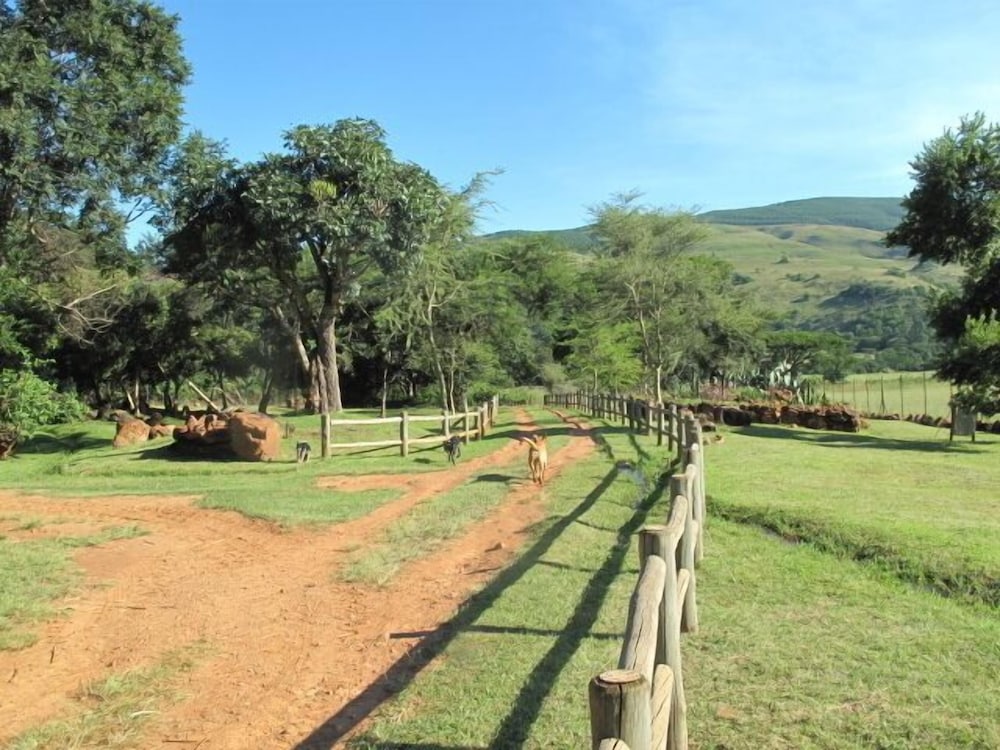 Caracal Lodge