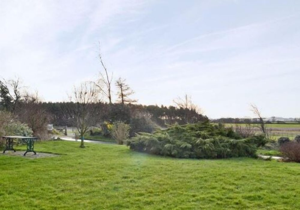 Elmfield House B&B