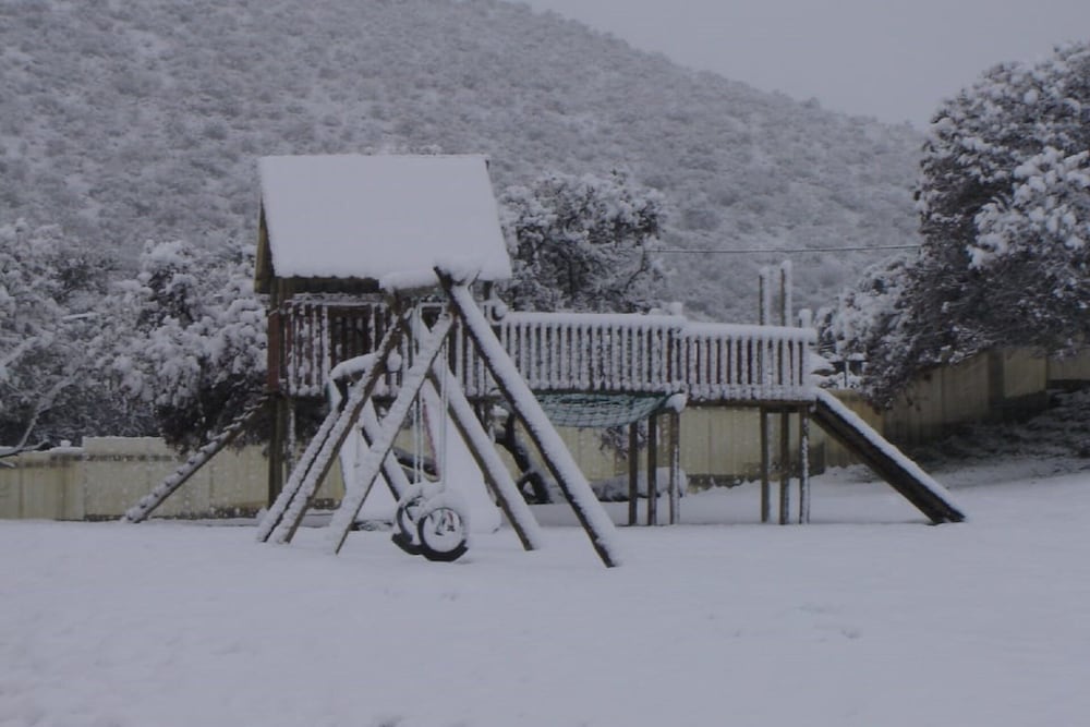 Photo 41