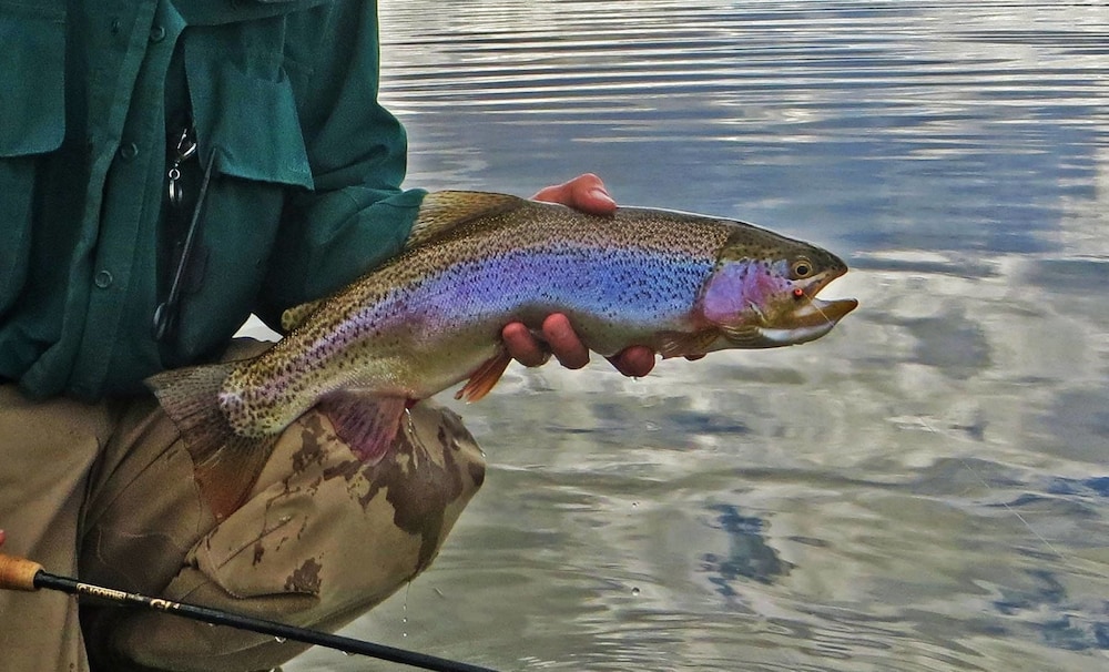 Monster Lake Ranch
