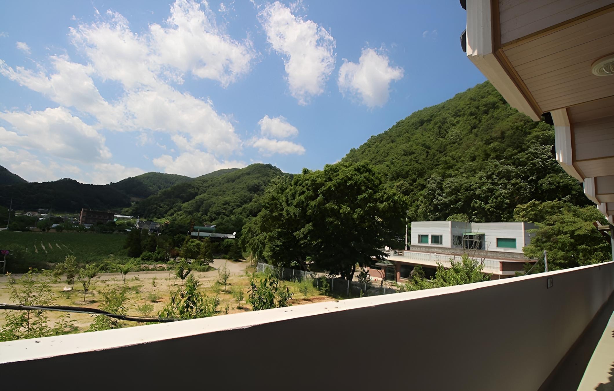 Photo 41
