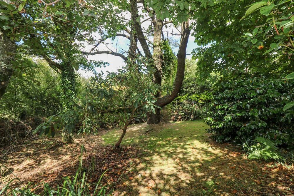 Truro Vacations - Manege Cottage - Property Image 9