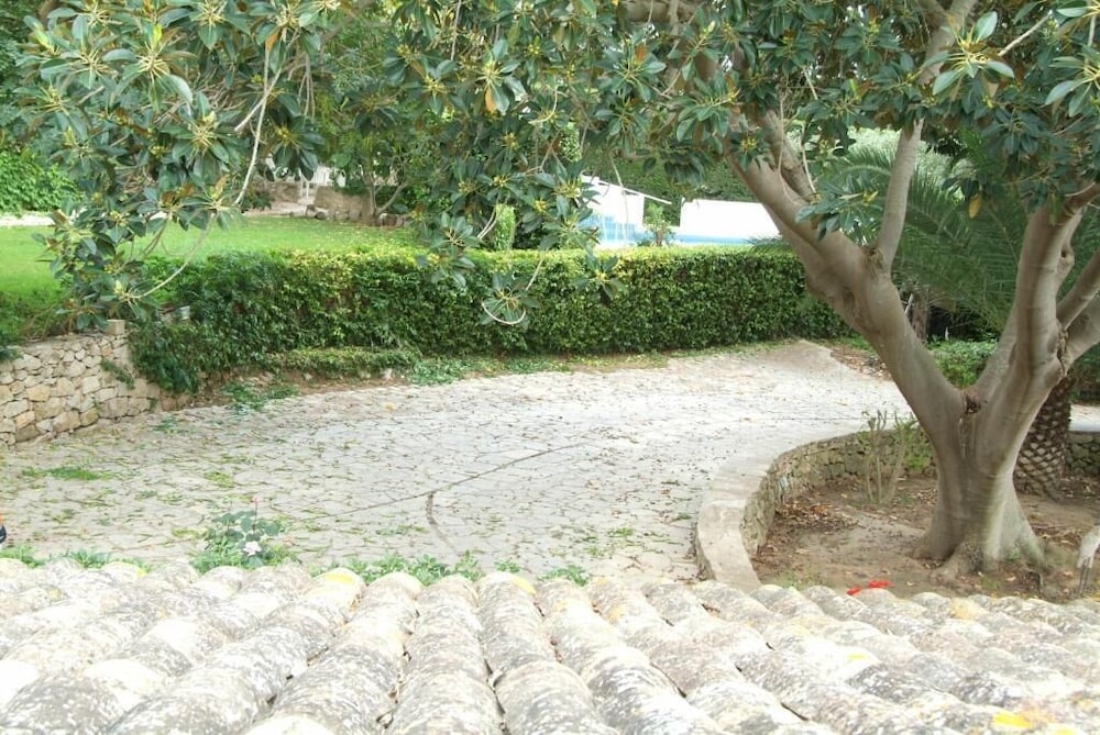 Photo 6
