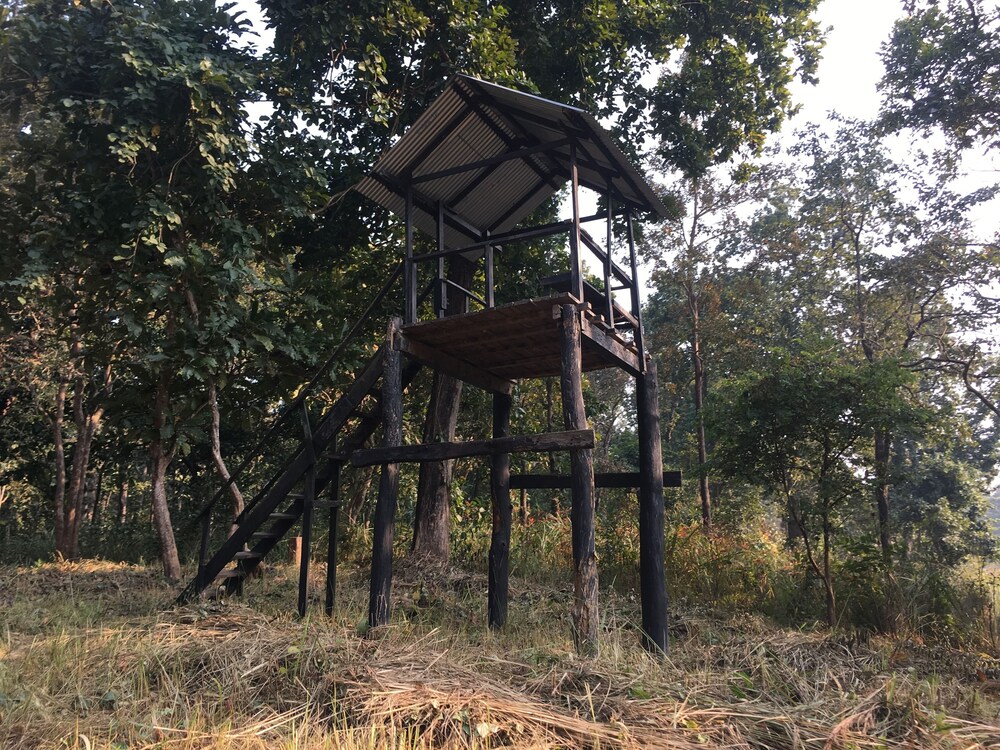 Sauraha Holiday Home