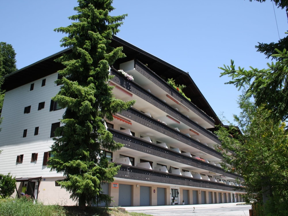 Photo 12