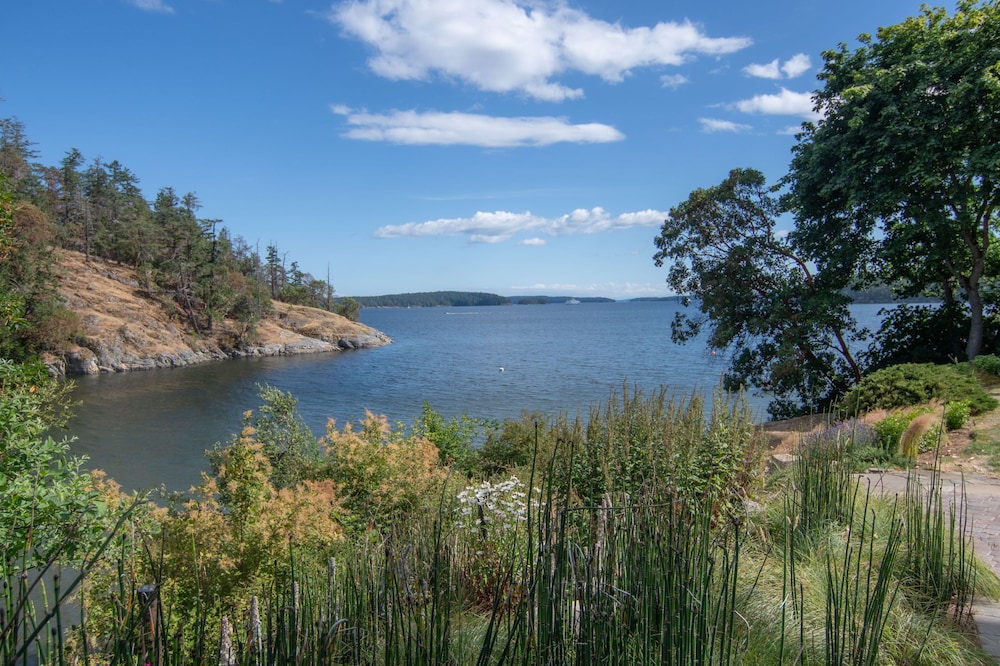 Lightwater Cove