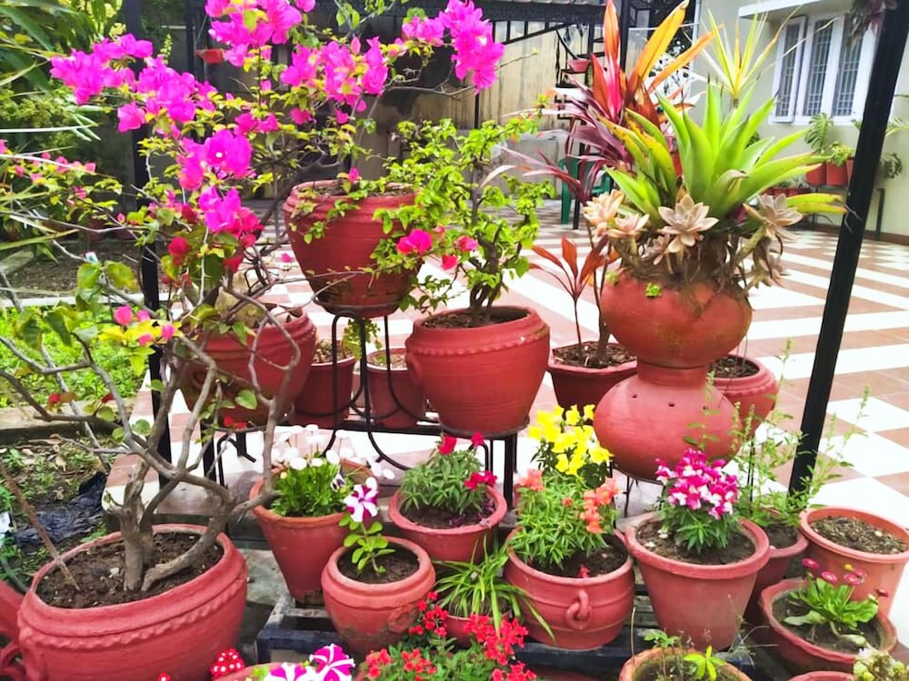 UbEx Home Dehradun view 5