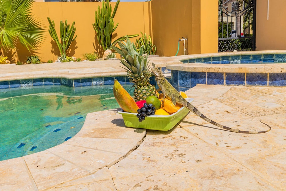 Gold Coast 4br4 5BA Villa w Privatepool Gym