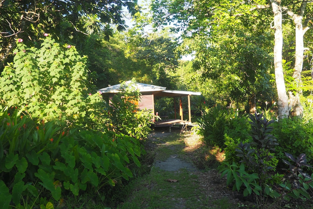 Photo 8