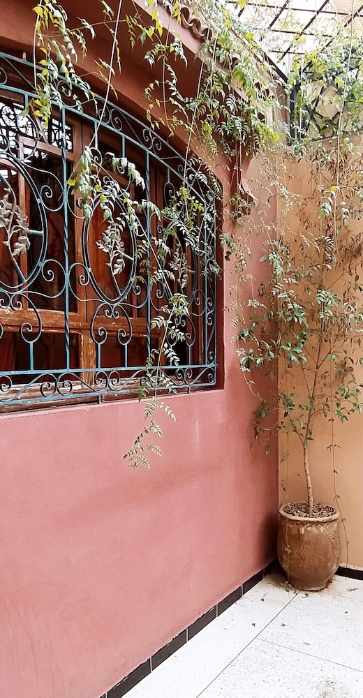 Le petit jardin Marrakech view 5