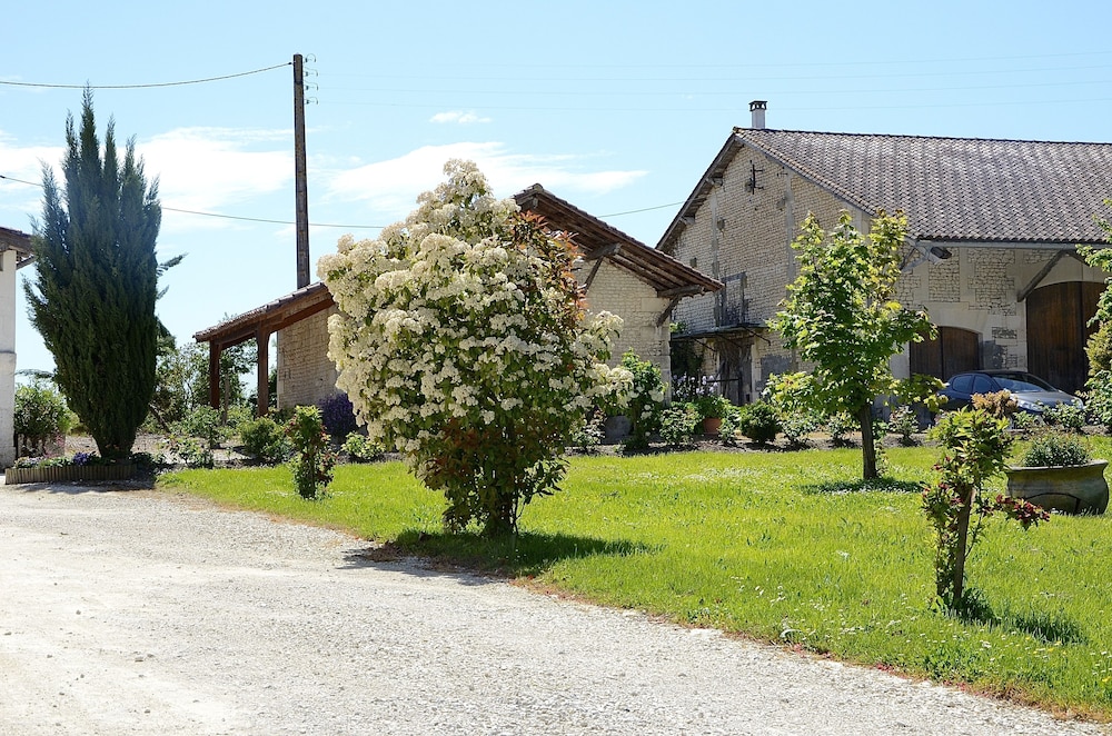 Photo 12