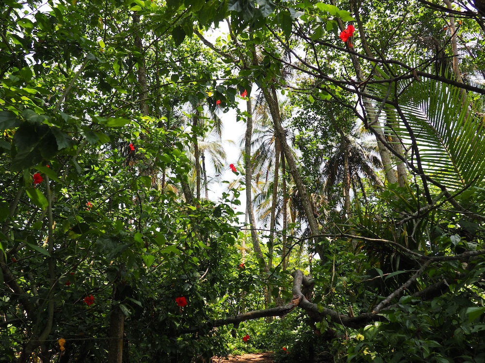 La Finca Chica