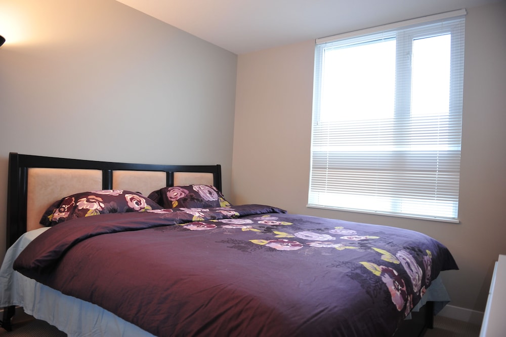 Brand New 1bdr 1den Condo in Vancouver view 3