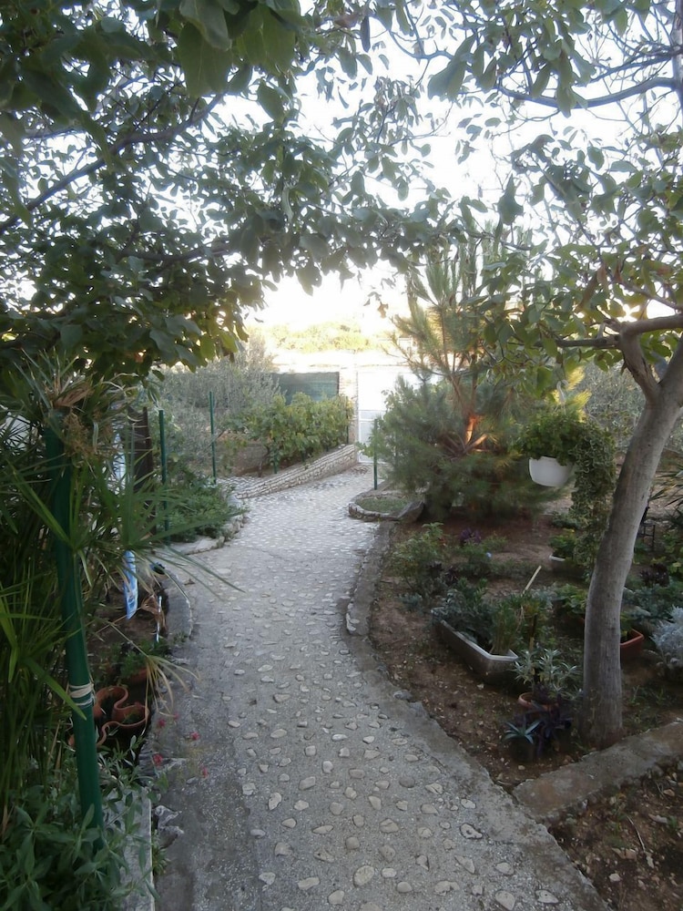 Photo 33