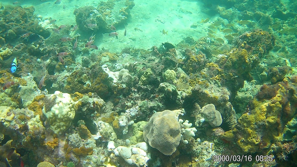 Photo 30