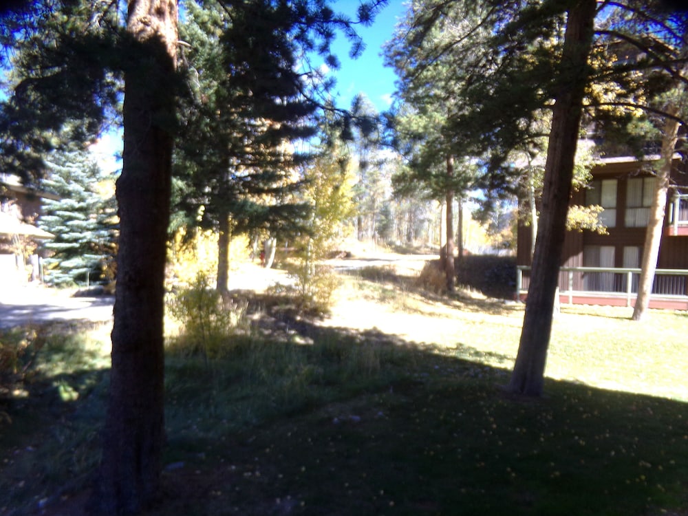 Wild Irishman 2 bed 2 bath Sleeps 9 WIBH view 3