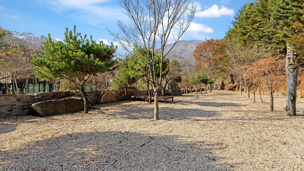 Gapyeong Dolgungpensyeon&kaempingjang view 5