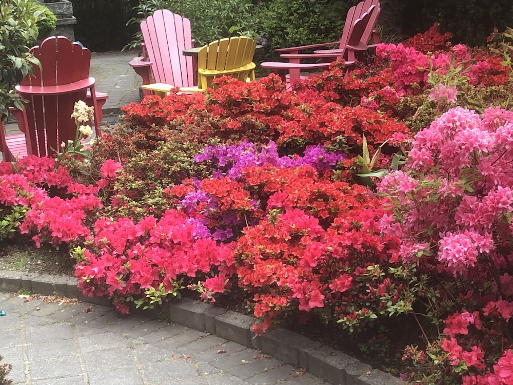 vancouver guest house