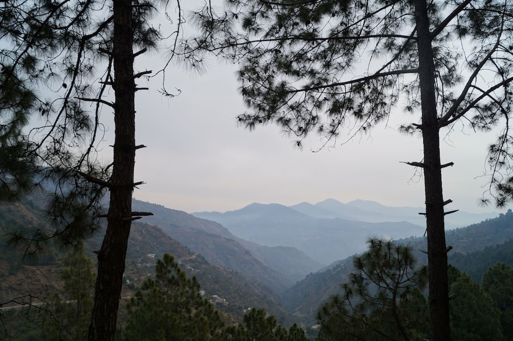 Jaseelo Camps near Tehri Lake